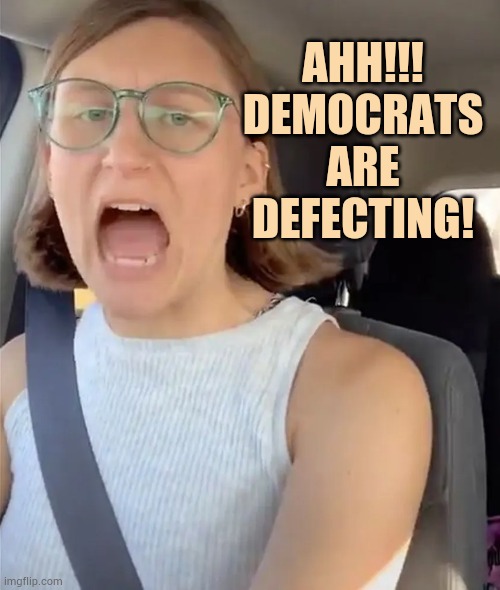 Unhinged Liberal Lunatic Idiot Woman Meltdown Screaming in Car | AHH!!! DEMOCRATS ARE DEFECTING! | image tagged in unhinged liberal lunatic idiot woman meltdown screaming in car | made w/ Imgflip meme maker
