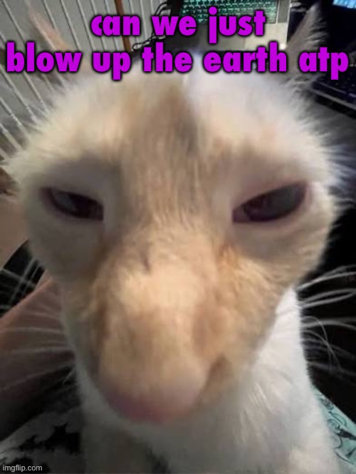 crack | can we just blow up the earth atp | image tagged in crack | made w/ Imgflip meme maker
