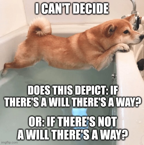 Dog and bathtub | I CAN'T DECIDE; DOES THIS DEPICT: IF THERE'S A WILL THERE'S A WAY? OR: IF THERE'S NOT A WILL THERE'S A WAY? | image tagged in dog and bathtub | made w/ Imgflip meme maker