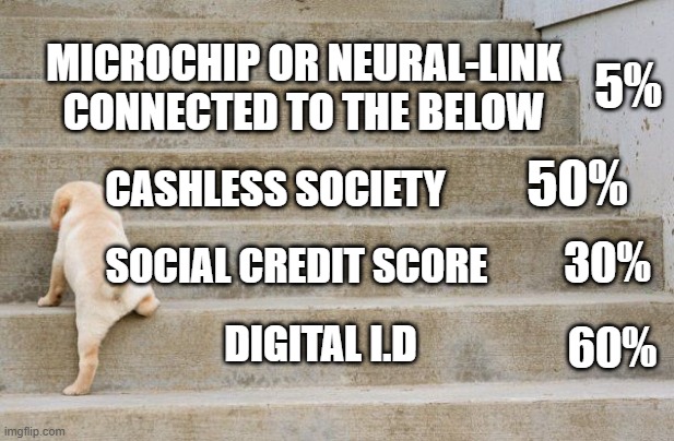 How far along is your country into reaching the mark of the beast? Mines about 40% averaged out | MICROCHIP OR NEURAL-LINK CONNECTED TO THE BELOW; 5%; 50%; CASHLESS SOCIETY; 30%; SOCIAL CREDIT SCORE; DIGITAL I.D; 60% | image tagged in big step for a pup | made w/ Imgflip meme maker