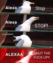Alexa Stop Blank Meme Template