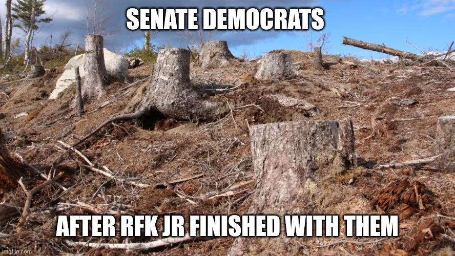 clear-cut | SENATE DEMOCRATS; AFTER RFK JR FINISHED WITH THEM | image tagged in clear-cut | made w/ Imgflip meme maker