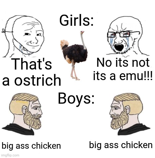 Chad we know | Girls:; That's a ostrich; No its not its a emu!!! Boys:; big ass chicken; big ass chicken | image tagged in chad we know | made w/ Imgflip meme maker