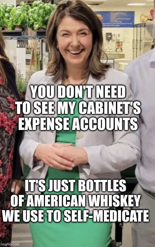 Boozing is the best policy, eh? | YOU DON'T NEED TO SEE MY CABINET'S EXPENSE ACCOUNTS; IT'S JUST BOTTLES OF AMERICAN WHISKEY WE USE TO SELF-MEDICATE | image tagged in danielle smith,memes,corruption,cover up,alberta,canada | made w/ Imgflip meme maker