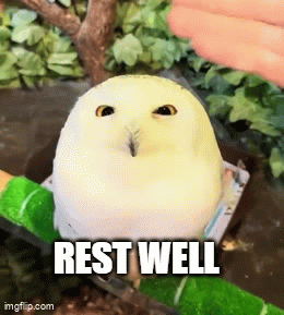 rest well - Imgflip