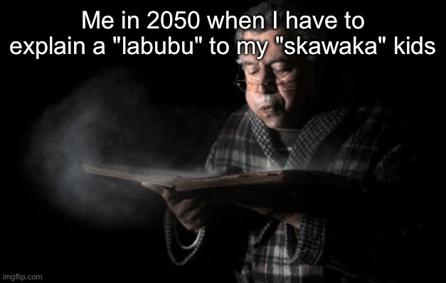 Old woman blowing dust off | Me in 2050 when I have to explain a "labubu" to my "skawaka" kids | image tagged in old woman blowing dust off | made w/ Imgflip meme maker