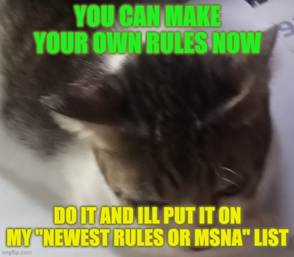 Ming mong | YOU CAN MAKE YOUR OWN RULES NOW; DO IT AND ILL PUT IT ON MY "NEWEST RULES OR MSNA" LIST | image tagged in ming mong | made w/ Imgflip meme maker