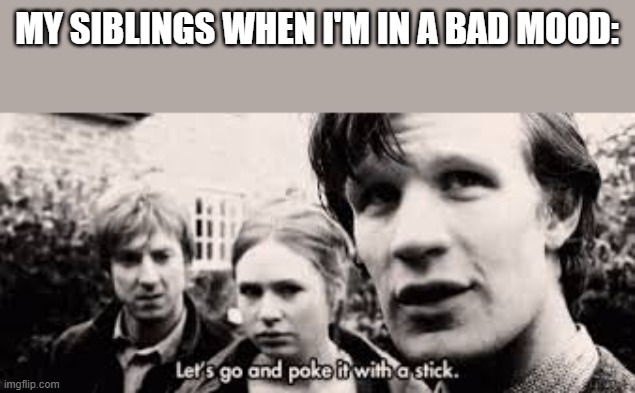 every single time bro! | MY SIBLINGS WHEN I'M IN A BAD MOOD: | image tagged in let's go poke it with a stick,memes,funny,fun,siblings | made w/ Imgflip meme maker