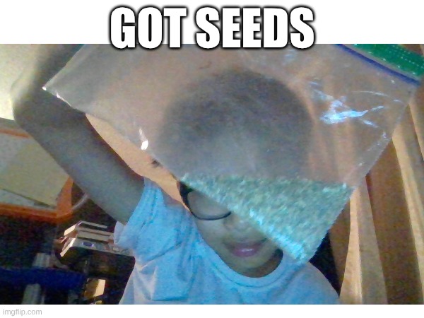 Chinese celery seeds | GOT SEEDS | image tagged in seeds,plants | made w/ Imgflip meme maker