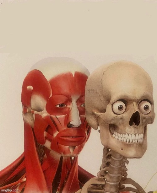 Temp flip pull | image tagged in muscle behind skeleton | made w/ Imgflip meme maker
