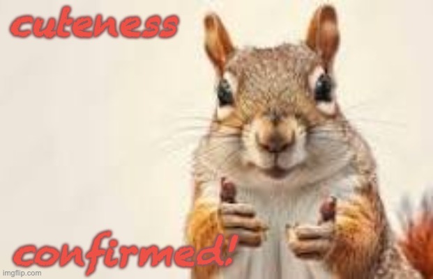 cuteness confirmed! | made w/ Imgflip meme maker