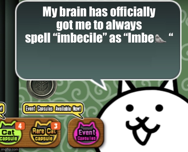 The basic cat says something | My brain has officially got me to always spell “imbecile” as “Imbe🦭 “ | image tagged in the basic cat says something | made w/ Imgflip meme maker