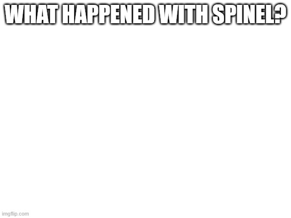 Sans in topic... | WHAT HAPPENED WITH SPINEL? | made w/ Imgflip meme maker