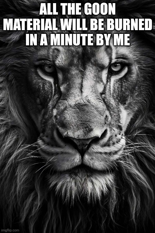 A lion doesn’t concern himseld | ALL THE GOON MATERIAL WILL BE BURNED IN A MINUTE BY ME | image tagged in a lion doesn t concern himseld | made w/ Imgflip meme maker
