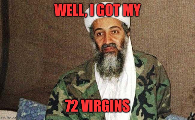 al qaeda | WELL, I GOT MY 72 VIRGINS | image tagged in al qaeda | made w/ Imgflip meme maker
