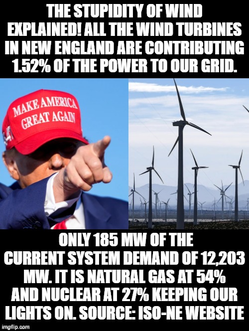 The Stupidity of wind power | THE STUPIDITY OF WIND EXPLAINED! ALL THE WIND TURBINES IN NEW ENGLAND ARE CONTRIBUTING 1.52% OF THE POWER TO OUR GRID. ONLY 185 MW OF THE CURRENT SYSTEM DEMAND OF 12,203 MW. IT IS NATURAL GAS AT 54% AND NUCLEAR AT 27% KEEPING OUR LIGHTS ON. SOURCE: ISO-NE WEBSITE | image tagged in sam elliott special kind of stupid | made w/ Imgflip meme maker