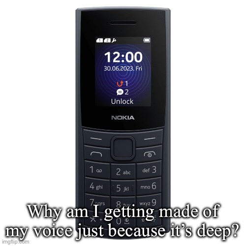 nokia 110 4g | Why am I getting made of my voice just because it’s deep? | image tagged in nokia 110 4g | made w/ Imgflip meme maker