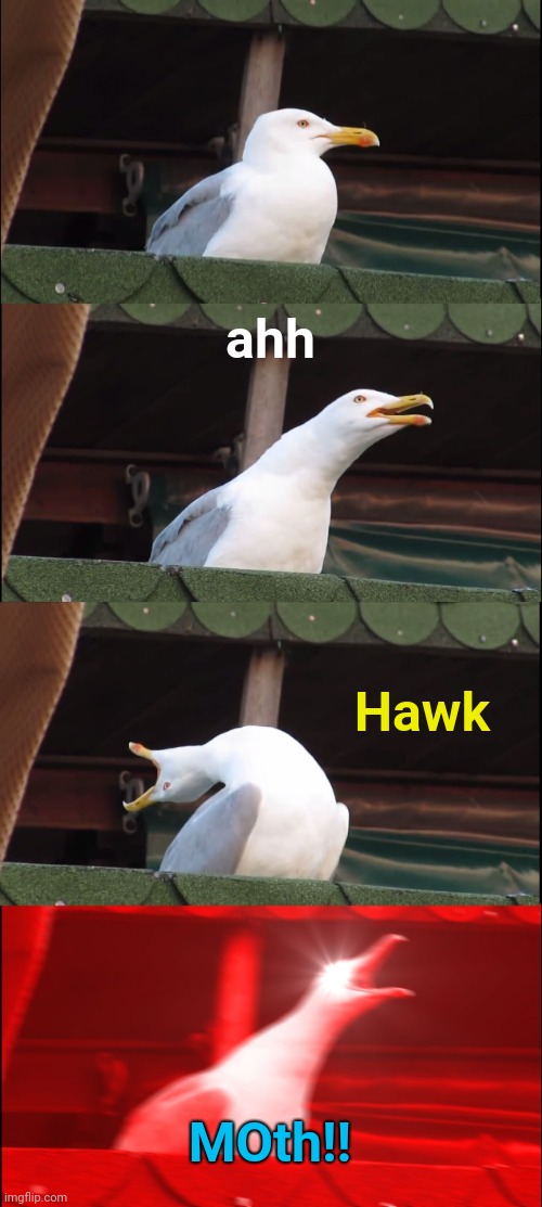 Can't miraculous shouting here Blank Meme Template