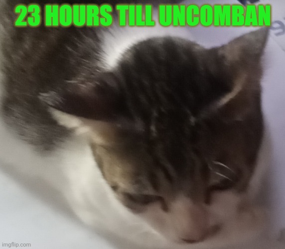 Ming mong | 23 HOURS TILL UNCOMBAN | image tagged in ming mong | made w/ Imgflip meme maker