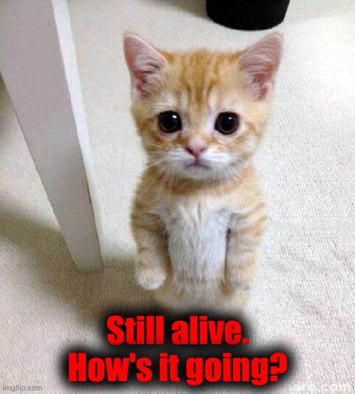 How are you all? | Still alive.
How's it going? | made w/ Imgflip meme maker
