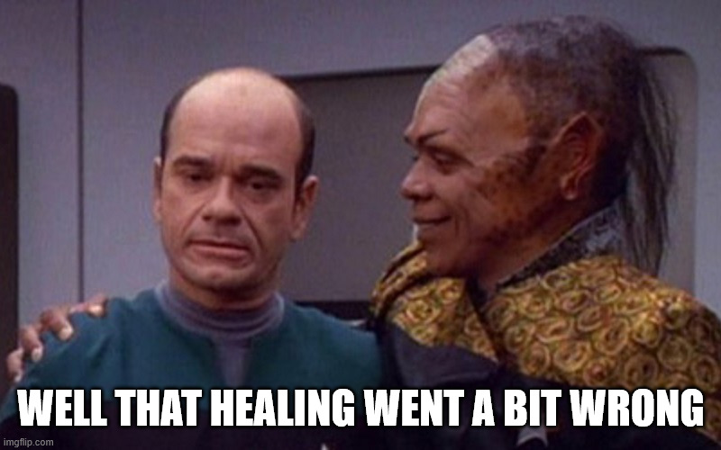 The Doctor and Tuvix | WELL THAT HEALING WENT A BIT WRONG | image tagged in the doctor and tuvix | made w/ Imgflip meme maker
