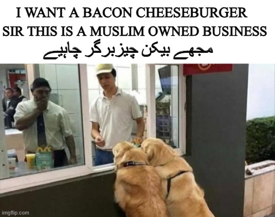 "sir this is a muslim restaurant" | SIR THIS IS A MUSLIM OWNED BUSINESS; I WANT A BACON CHEESEBURGER; مجھے بیکن چیزبرگر چاہیے | image tagged in dogs,funny,politically incorrect | made w/ Imgflip meme maker
