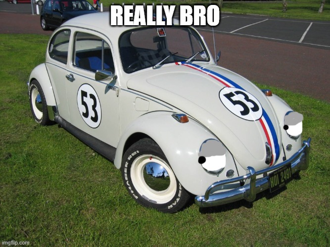 Herbie | REALLY BRO | image tagged in herbie | made w/ Imgflip meme maker