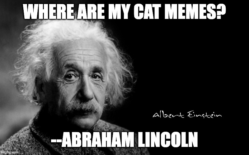 Albert Einstein | WHERE ARE MY CAT MEMES? --ABRAHAM LINCOLN | image tagged in albert einstein | made w/ Imgflip meme maker