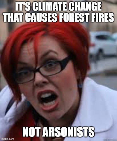 SJW Triggered | IT'S CLIMATE CHANGE THAT CAUSES FOREST FIRES NOT ARSONISTS | image tagged in sjw triggered | made w/ Imgflip meme maker