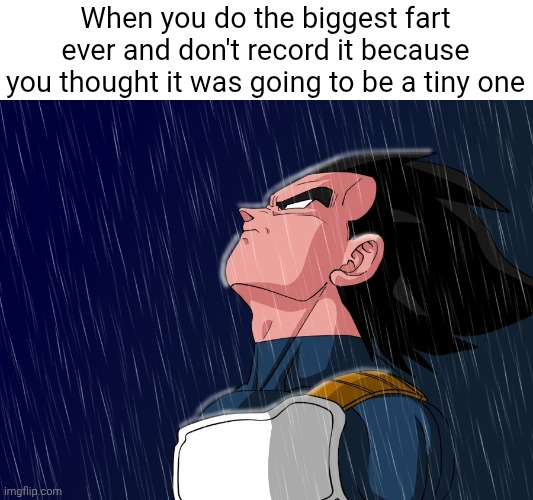 the struggle is real | When you do the biggest fart ever and don't record it because you thought it was going to be a tiny one | image tagged in vegeta rain,farting,among us,teenage mutant ninja turtles,project manager,radiation | made w/ Imgflip meme maker