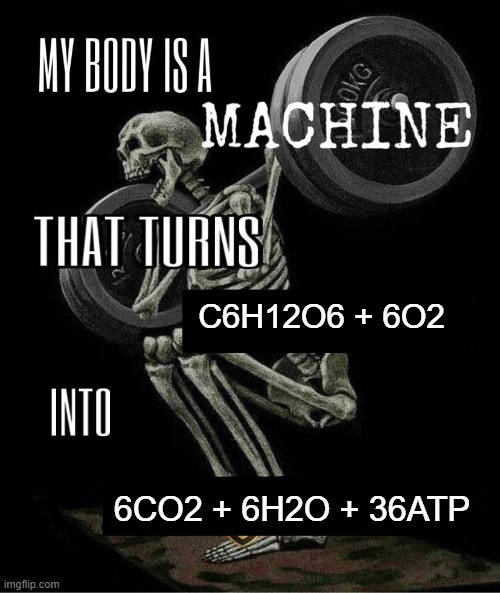 My body is machine | C6H12O6 + 6O2; 6CO2 + 6H2O + 36ATP | image tagged in my body is machine | made w/ Imgflip meme maker