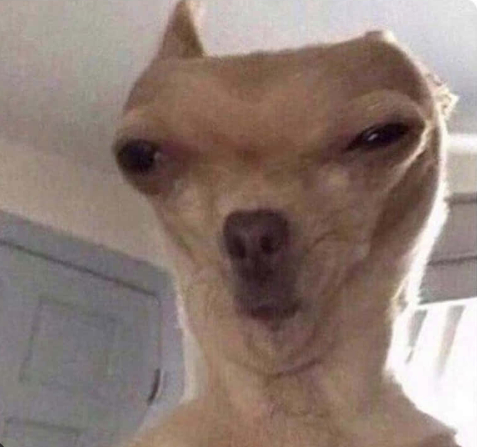 Doggo Blank Meme Template