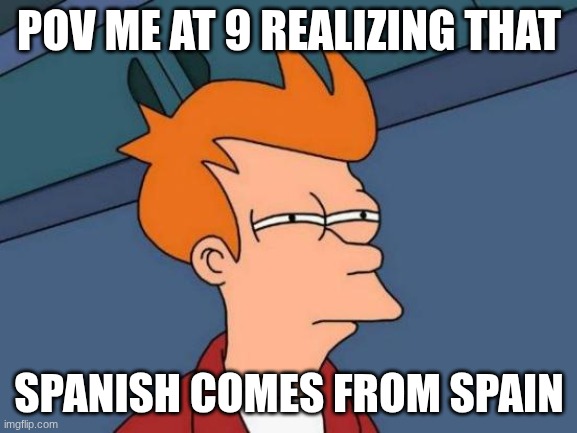 Futurama Fry Meme | POV ME AT 9 REALIZING THAT; SPANISH COMES FROM SPAIN | image tagged in memes,futurama fry | made w/ Imgflip meme maker