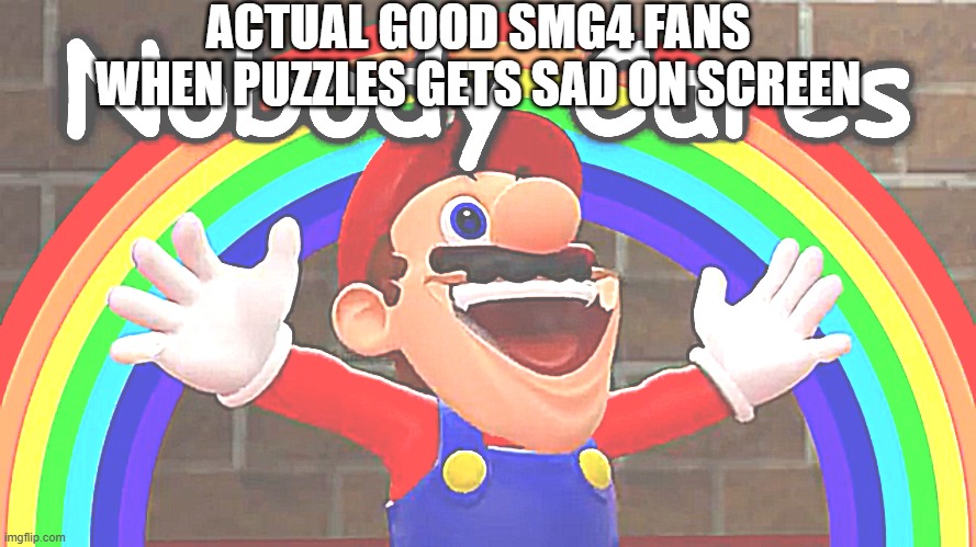 i HATE mr puzzles bro | ACTUAL GOOD SMG4 FANS WHEN PUZZLES GETS SAD ON SCREEN | image tagged in nobody cares | made w/ Imgflip meme maker