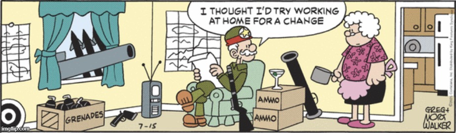 Beetle Bailey | image tagged in comics | made w/ Imgflip meme maker