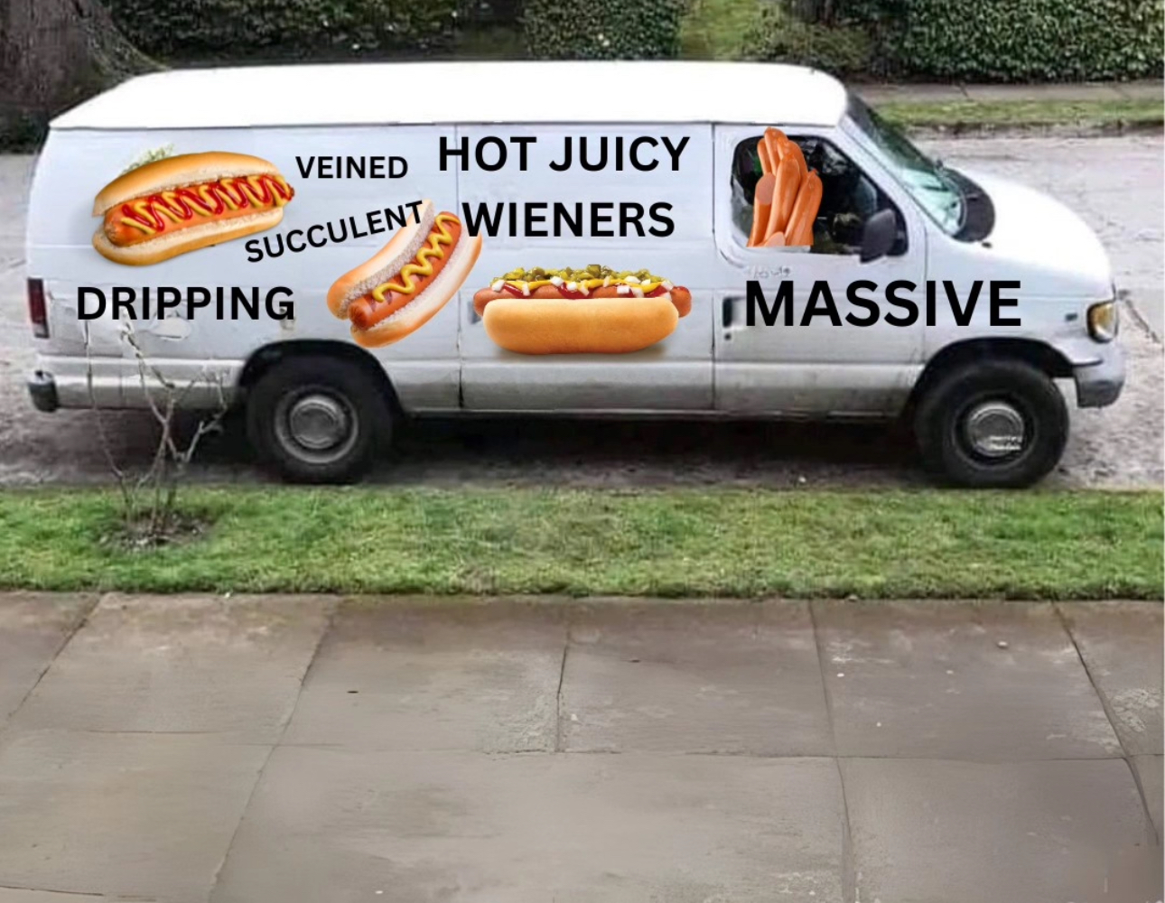 Wiener van Blank Meme Template