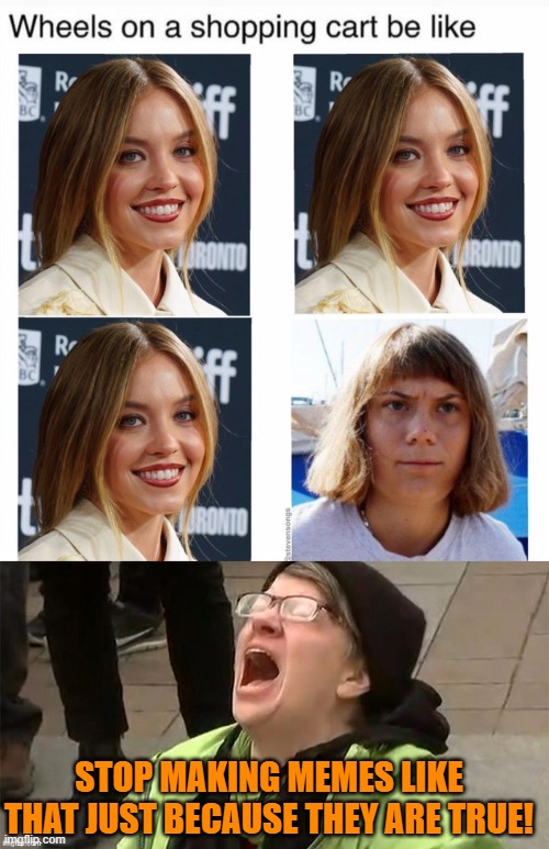 Pretty much the average leftist nutter memes herself. | STOP MAKING MEMES LIKE THAT JUST BECAUSE THEY ARE TRUE! | image tagged in yep | made w/ Imgflip meme maker