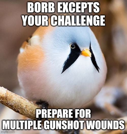 BORB EXCEPTS YOUR CHALLENGE PREPARE FOR MULTIPLE GUNSHOT WOUNDS | image tagged in mmmmm borb | made w/ Imgflip meme maker
