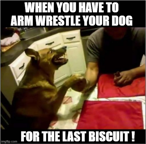You Know Dogs Don't Like Sharing ... | WHEN YOU HAVE TO ARM WRESTLE YOUR DOG; FOR THE LAST BISCUIT ! | image tagged in dogs,sharing,biscuits,arm wrestling | made w/ Imgflip meme maker