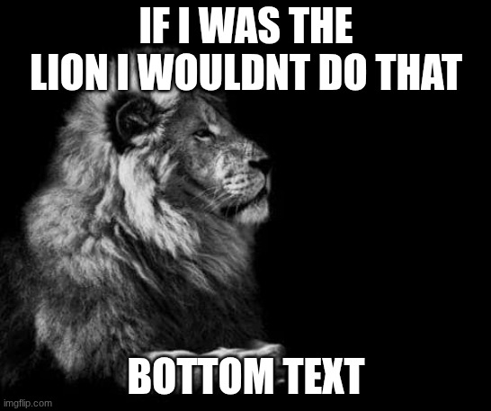 the lion.. | IF I WAS THE LION I WOULDNT DO THAT; BOTTOM TEXT | image tagged in the lion | made w/ Imgflip meme maker