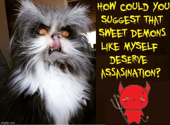 Devil Cat from Demonia | image tagged in vince vance,meow,funny cat memes,devil cat,i love cats,mean cats | made w/ Imgflip meme maker