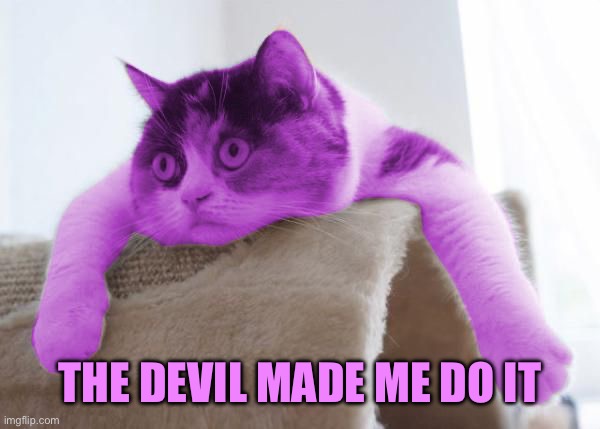 THE DEVIL MADE ME DO IT | image tagged in raycat stare | made w/ Imgflip meme maker