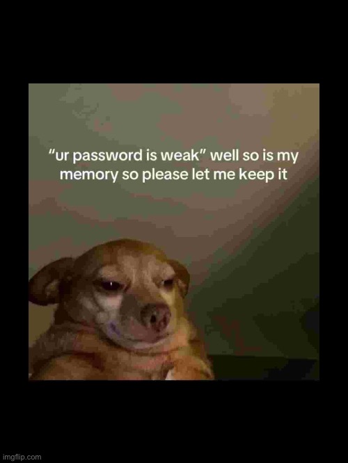 *Clever Title Here* | image tagged in memes,haha,dog | made w/ Imgflip meme maker