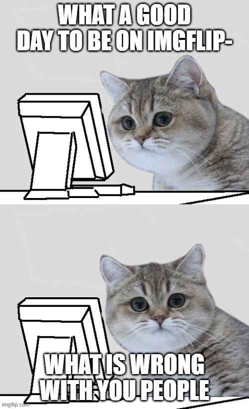 WHY JUST WHY | WHAT A GOOD DAY TO BE ON IMGFLIP-; WHAT IS WRONG WITH YOU PEOPLE | image tagged in wut hai nope,cat,why is the fbi here,uh oh | made w/ Imgflip meme maker