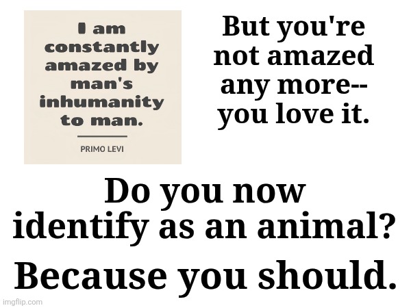 Because You Should | But you're not amazed any more-- you love it. Do you now identify as an animal? Because you should. | made w/ Imgflip meme maker