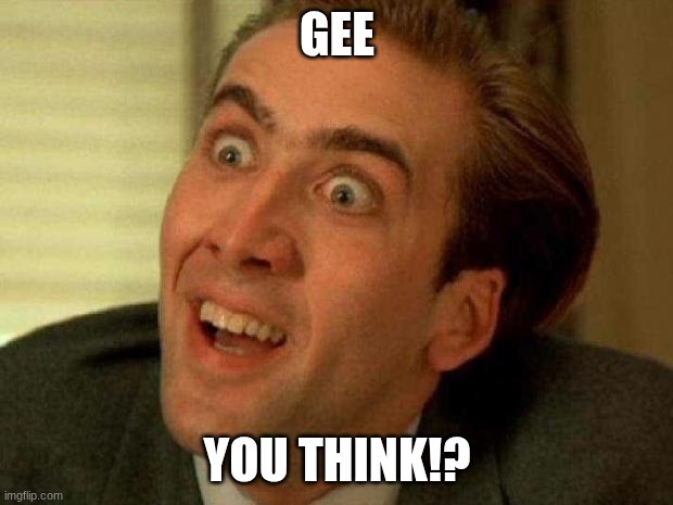 Nicolas cage | GEE YOU THINK!? | image tagged in nicolas cage | made w/ Imgflip meme maker