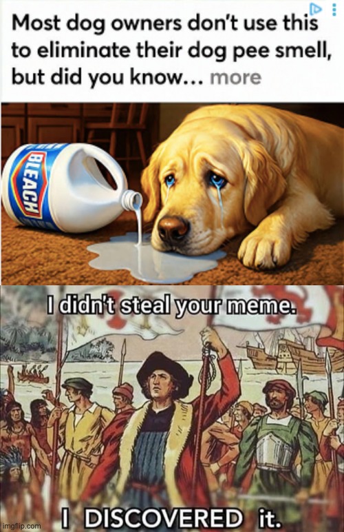 I am turning the image in the ad into a meme asap | image tagged in i didn't steal your meme i doscovered it,bleach,dogs,dog | made w/ Imgflip meme maker