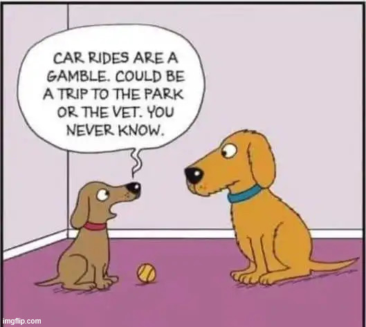 Car rides | image tagged in repost,car rides | made w/ Imgflip meme maker