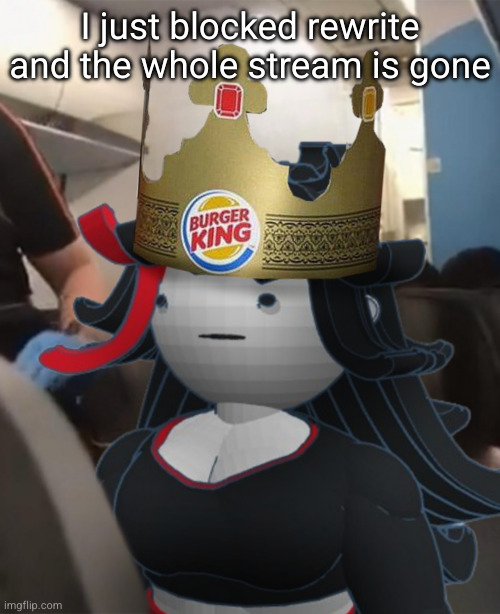 Claire Burger King Crown Airplane | I just blocked rewrite and the whole stream is gone | image tagged in claire burger king crown airplane | made w/ Imgflip meme maker