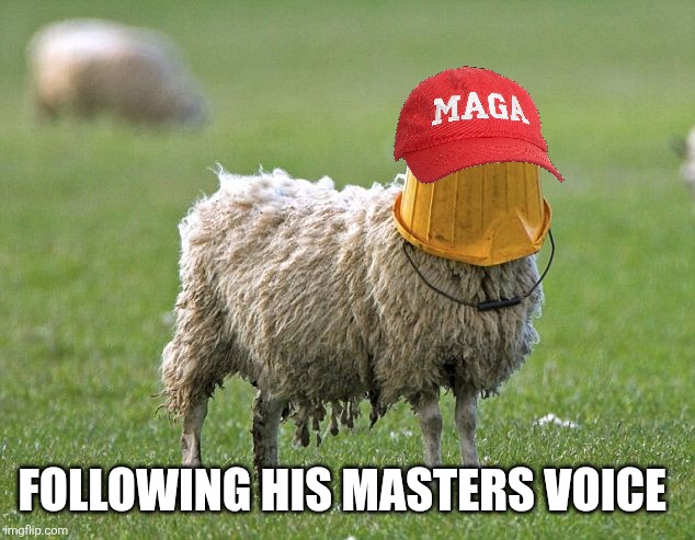 stupid sheep | FOLLOWING HIS MASTERS VOICE | image tagged in stupid sheep | made w/ Imgflip meme maker